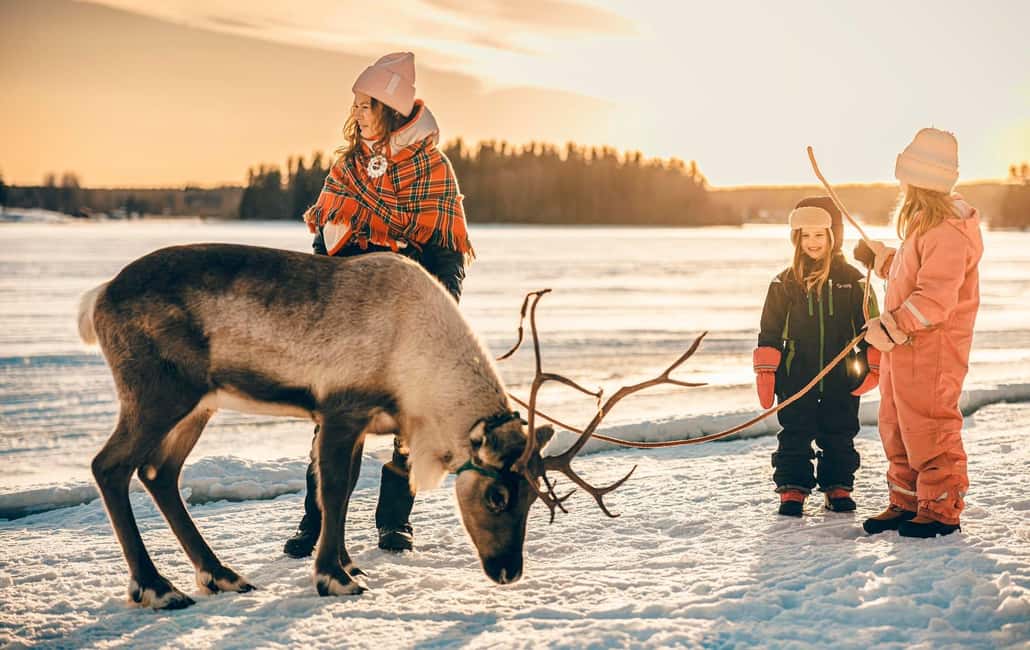 Luleå: Sami Culture & Reindeer Winter Experience - Meeting reindeer at First Camp in Luleå