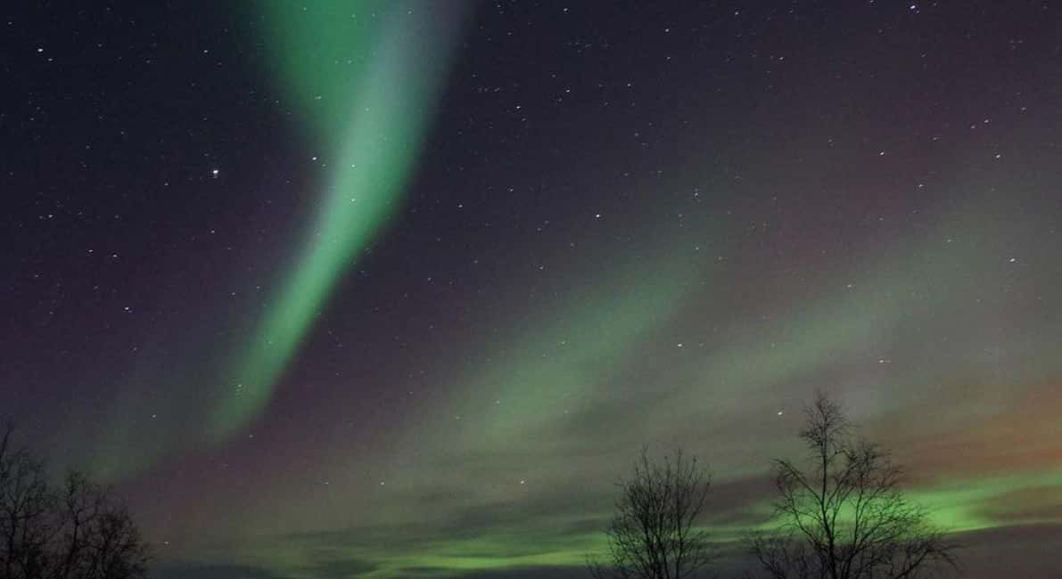 Luleå: Snowmobile Adventures & Northern Lights Hunt - Key points before you book