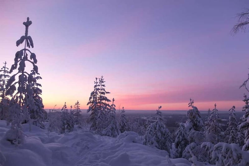 Luleå: snowshoeing in pristine nature with an expert guide! - Key points at a glance