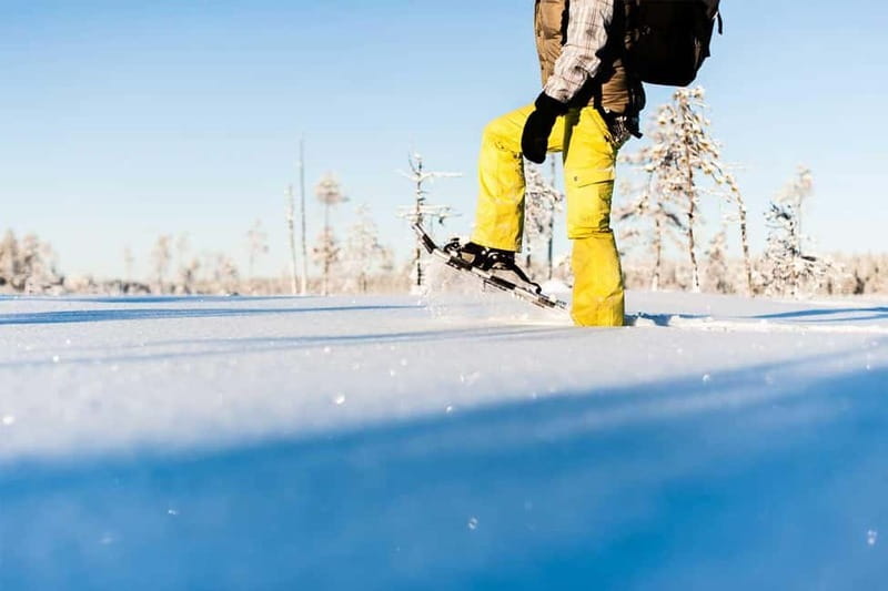 Luleå: snowshoeing in pristine nature with an expert guide! - Leaving Luleå for a quiet nature reserve