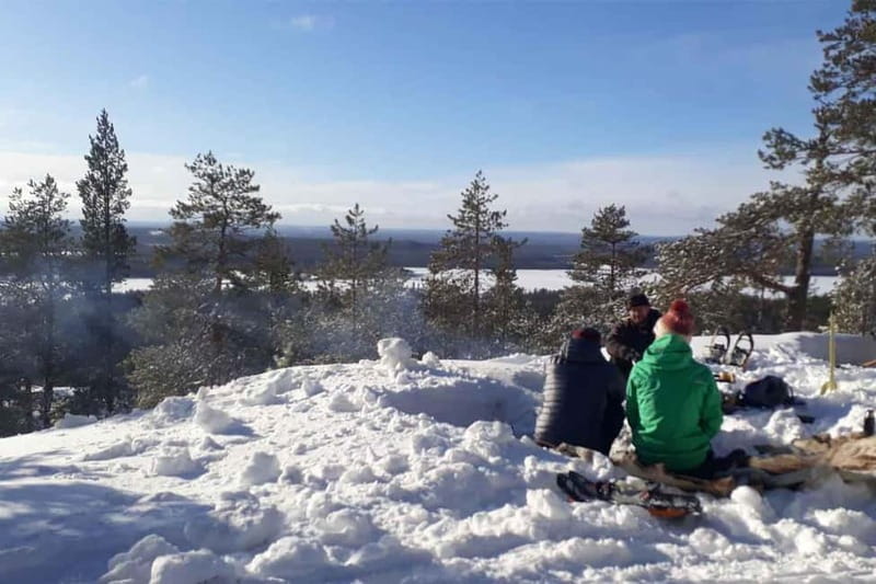 Luleå: snowshoeing in pristine nature with an expert guide! - A three-kilometer walk through winter woods