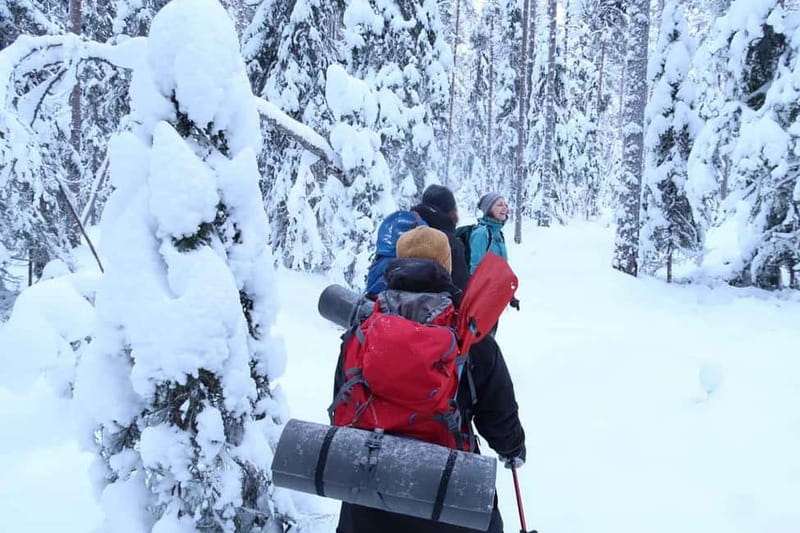 Luleå: snowshoeing in pristine nature with an expert guide! - Reading reindeer, deer, and moose tracks