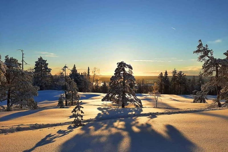 Luleå: snowshoeing in pristine nature with an expert guide! - Coffee and Swedish treats beside the fire