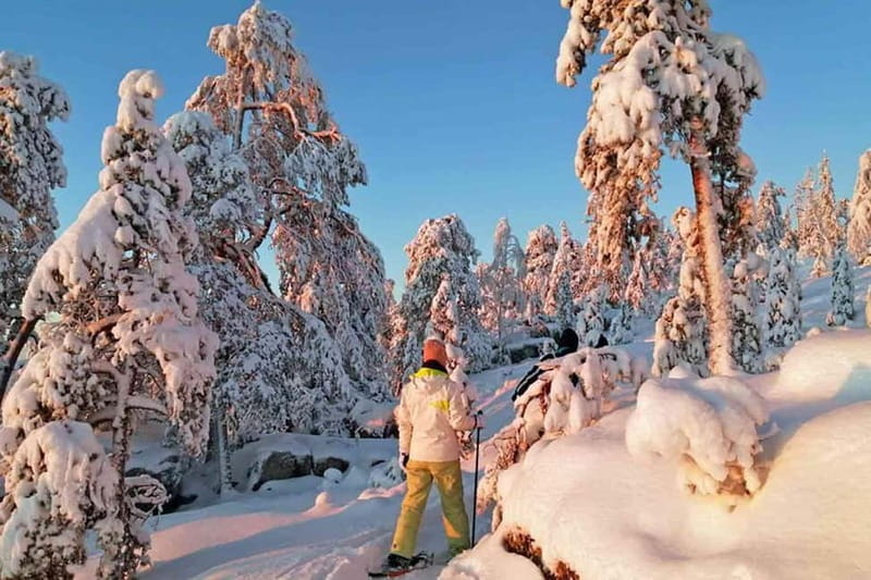 Luleå: snowshoeing in pristine nature with an expert guide! - What the $142 price includes