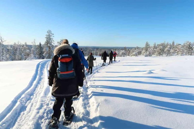 Luleå: snowshoeing in pristine nature with an expert guide! - Getting used to snowshoes in the first few minutes