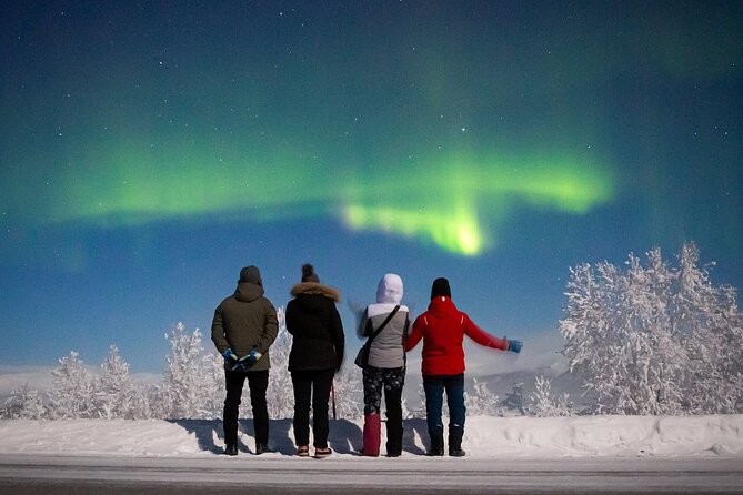Magical Northern Lights Photography Tour Kiruna - Key points to know before booking