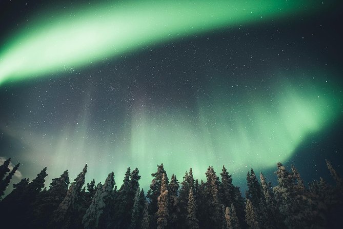 Magical Northern Lights Photography Tour Kiruna - The photography value at $203.63