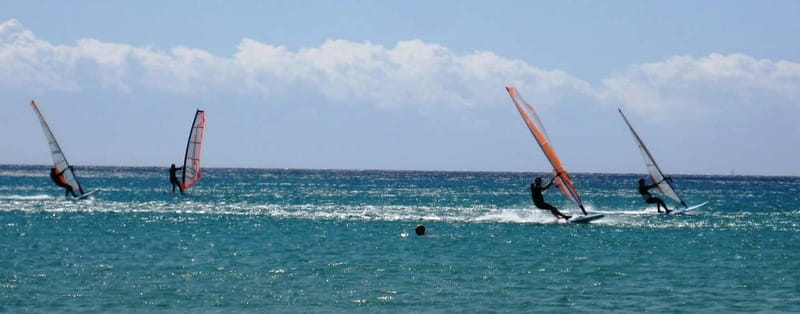 Malmö: Beginner class Dynamic Windsurfing - Practical advice for a smoother session