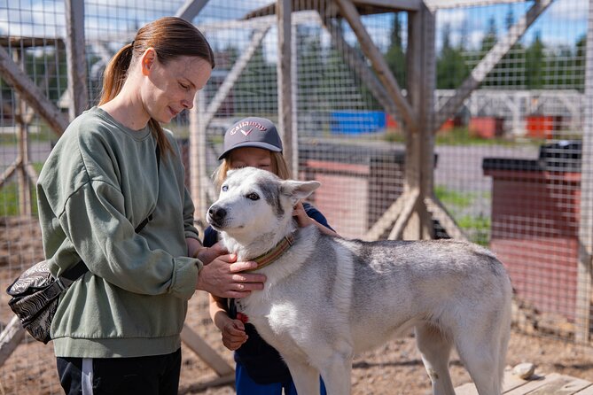 Meet 70 Huskies and Enjoy a short ATV Tour with the Huskies - Timing, transport, and practical planning