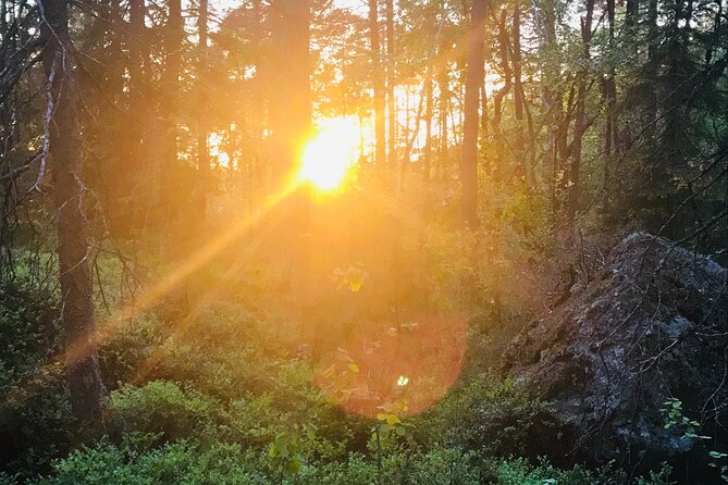 Midnight Sun and Campfire - National Park evening hike Stockholm - A guide-led evening with a personal feel