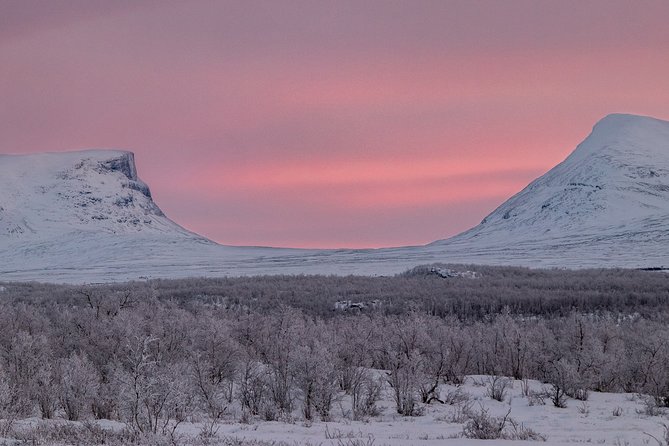 Morning hike in Abisko National Park - Looking for reindeer, moose, and smaller signs