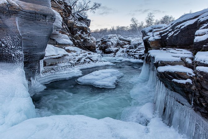 Morning hike in Abisko National Park - Is the $91.71 price fair?