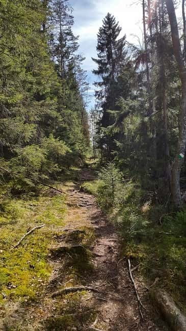 Nature Hike from Stockholm - Key points to know before booking