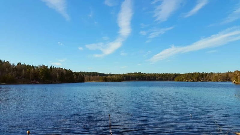 Nature Hike from Stockholm - From Tideliusgatan to the Swedish forest