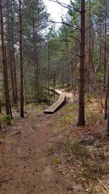Nature Hike from Stockholm - Lunch by the fire