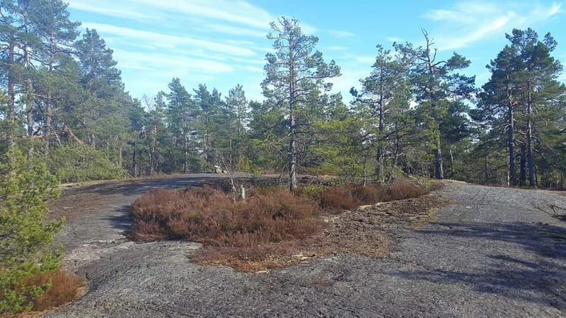 Nature Hike from Stockholm - Who will get the most from this hike?
