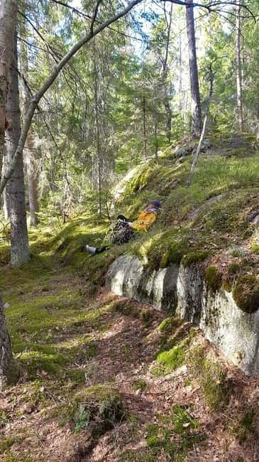 Nature Hike from Stockholm - Pine forest, a lake, and the first coffee stop