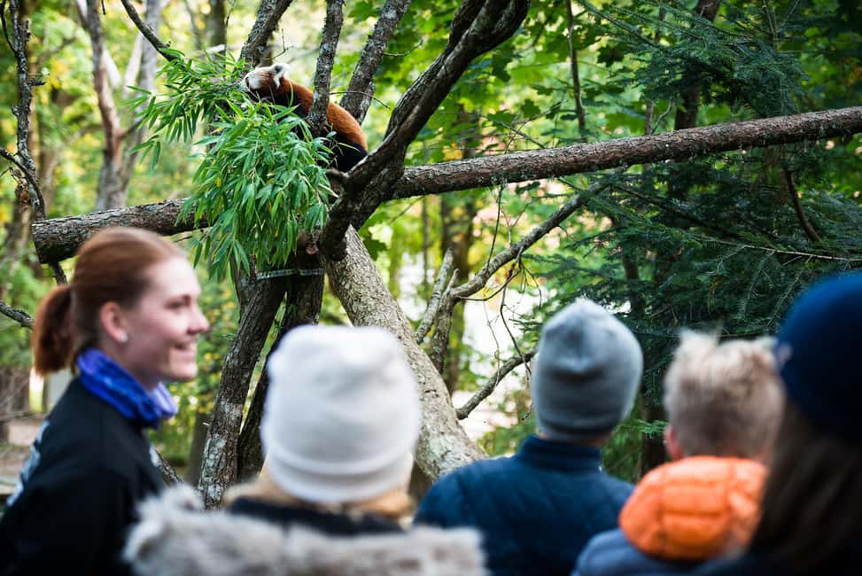 Nordens Ark Entry Ticket - Summer activities from June 24 through August 11