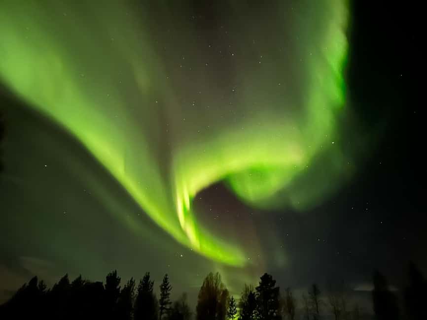 North, Dogs, Snowmobiles & Lights - Key points to know before booking