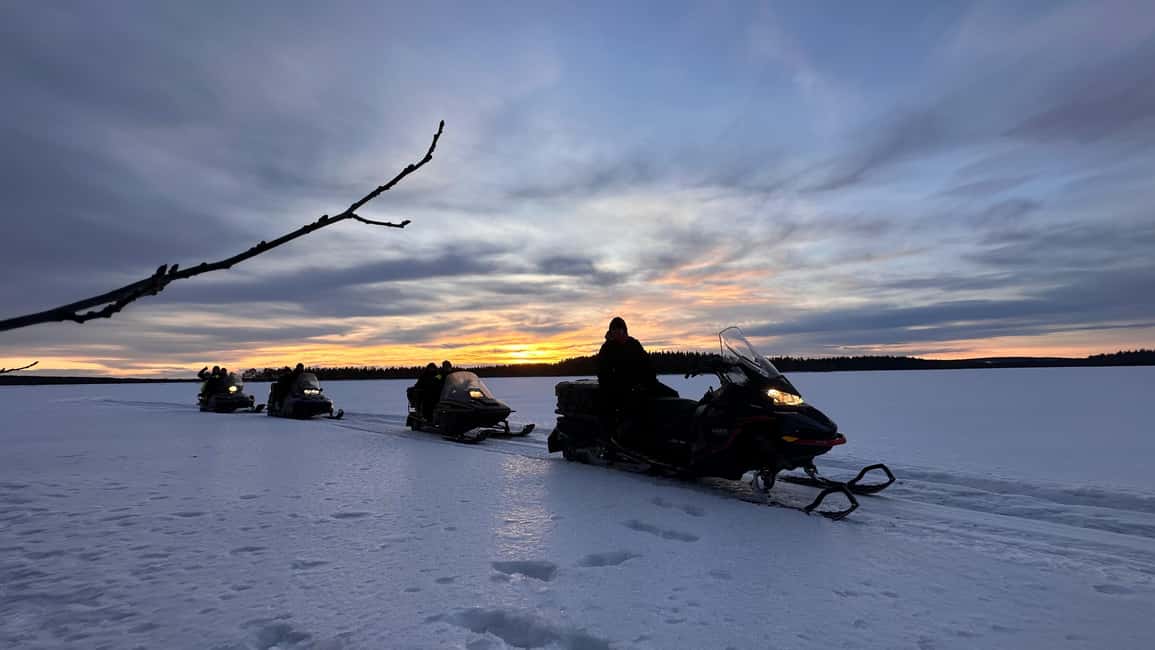 North, Dogs, Snowmobiles & Lights - A full Arctic day from Luleå, Råneå, or Kalix