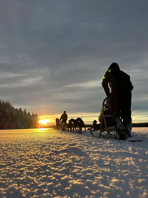 North, Dogs, Snowmobiles & Lights - Ice fishing beside the coffee break
