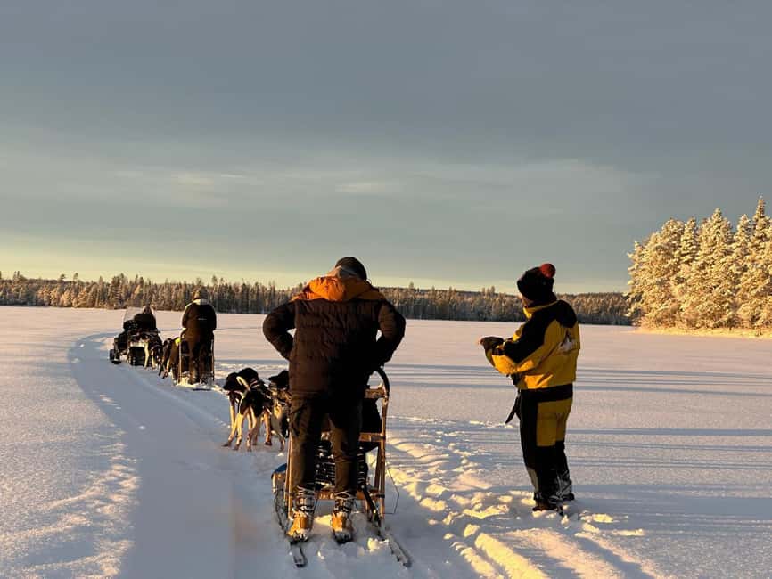 North, Dogs, Snowmobiles & Lights - What the $383 price really buys