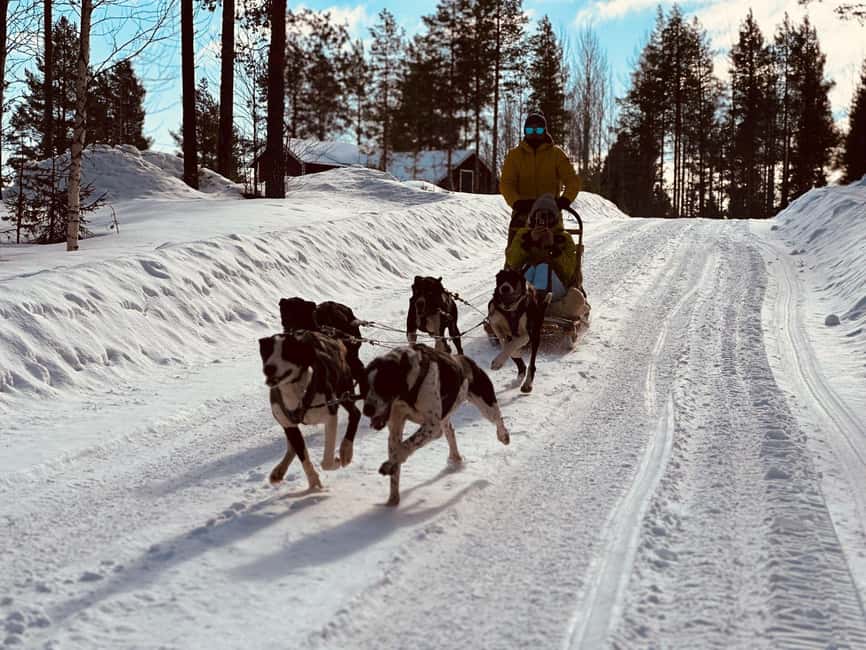 North, Dogs, Snowmobiles & Lights - Language, timing, and comfort