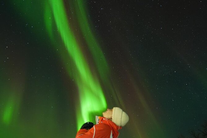 Northern Light Minibus Hunt to Abisko National Park - Key points to know before you book