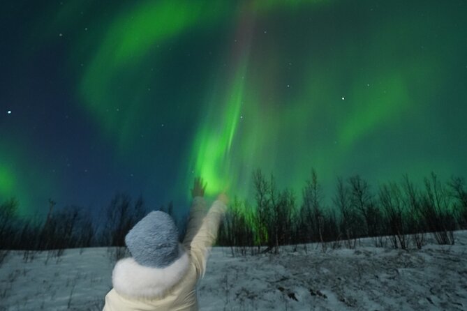 Northern Light Minibus Hunt to Abisko National Park - From Kiruna into the polar night