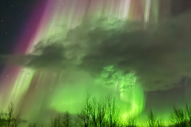 Northern Light Minibus Hunt to Abisko National Park - Who will enjoy this experience most?
