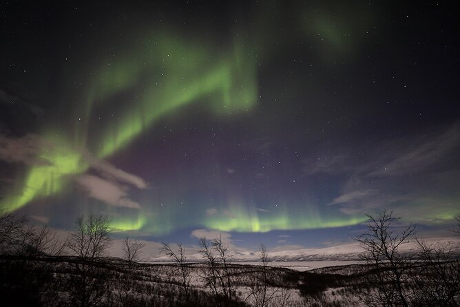 Northern Light Photo tour - Waiting in the Arctic night