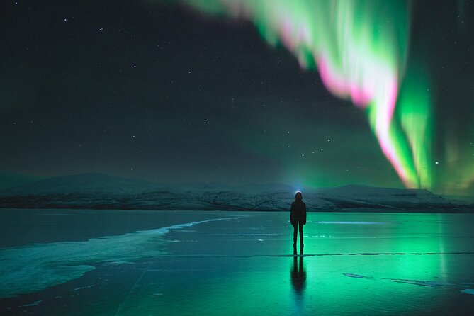 Northern Lights Photo Expedition Dinner Included from Abisko - Key points to know before booking