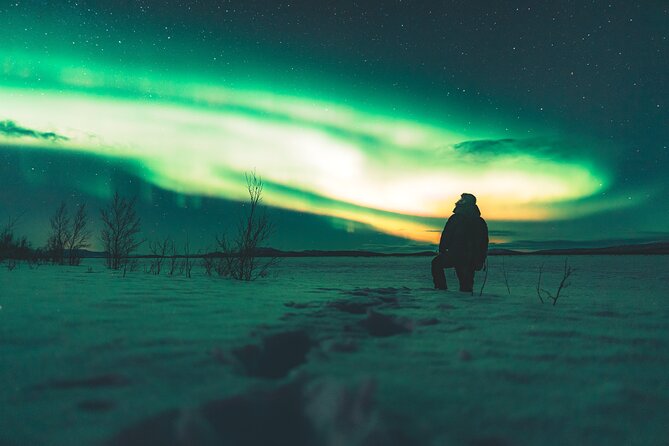 Northern Lights Photo Expedition Dinner Included from Abisko - Warm suits, tea, and the comfort factor