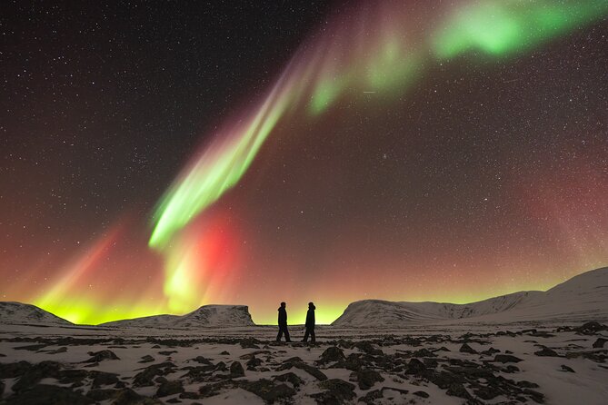 Northern Lights Photo Expedition Dinner Included from Abisko - Group size, pickup, and timing