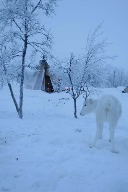Once-in-a-lifetime Snowmobile Safari to Lapland Viewpoint - What the $359 price really covers