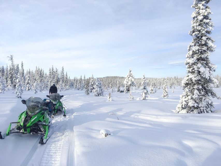 Polar Nature Tour on Snowmobile - From Kiruna pickup to Kalixforsbron