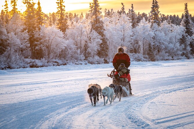 Polar Sunrise Eco Experience (10:00-13:00- driving the sled) - A 10 am Start in Kiruna