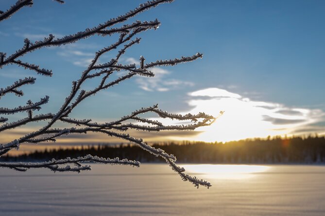 Polar Sunrise Eco Experience (10:00-13:00- driving the sled) - Who Should Book This Experience?