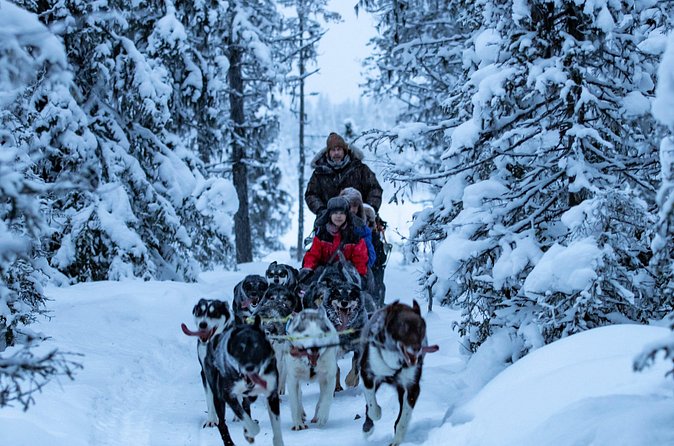 Polar Sunrise Eco Experience (10:00-13:00- driving the sled) - What to Bring and What to Know