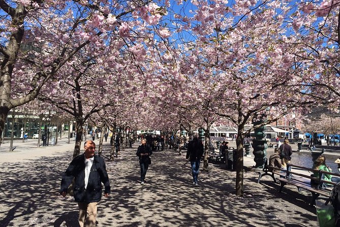 Private 4h VIP city tour by limousine car and guide in Stockholm - Fjällgatan, the ten-minute view worth protecting