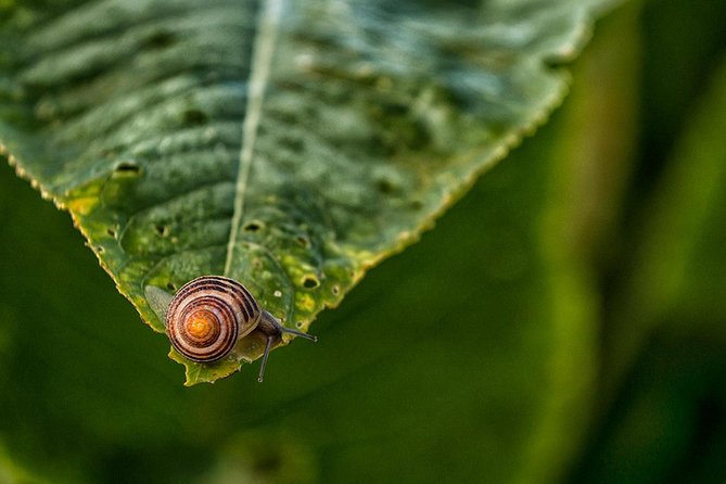 Private Photography workshop in Stockholm - Personal feedback makes the time worthwhile