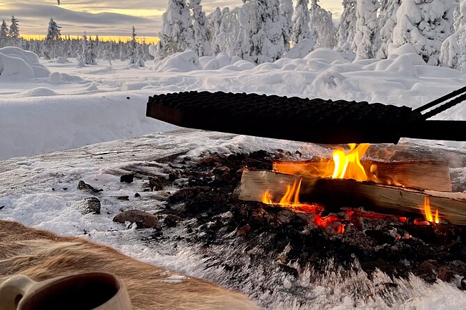 Private snowmobile day tours - Is $277.97 per person fair value?