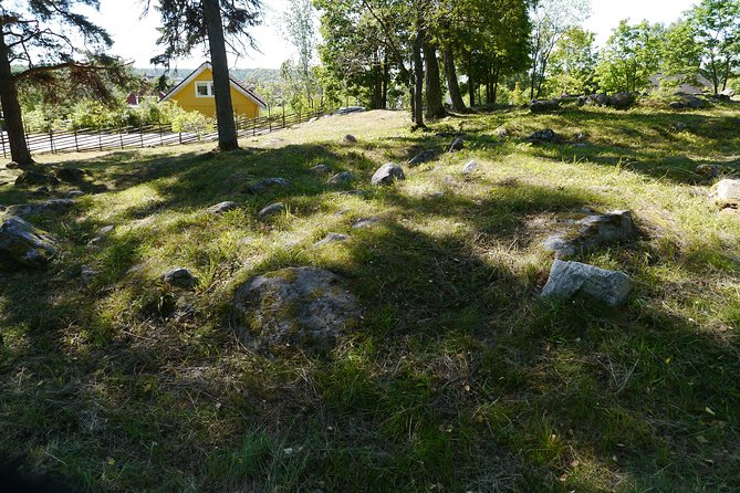 Private Tour: 3h Viking History from Stockholm to Runic Kingdom - Arkils tingstad, where Viking law was public business
