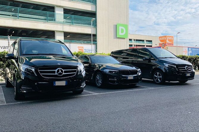 Private Transfer from Nynashamn Cruise Port to Stockholm Hotels - Key points to know before leaving the ship
