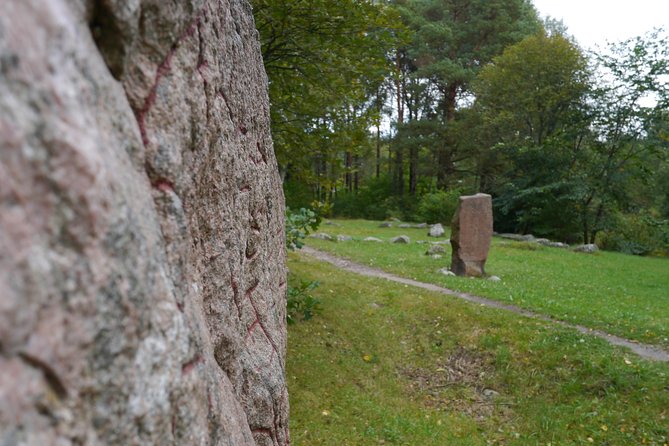 Private Viking tour by a lake + Swedish nature forest walk, 90min - Reaching Lovisedal From Central Stockholm
