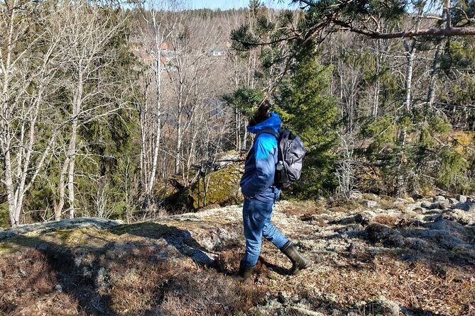 Private Viking tour by a lake + Swedish nature forest walk, 90min - Vallentuna Lake and the Viking Waterways