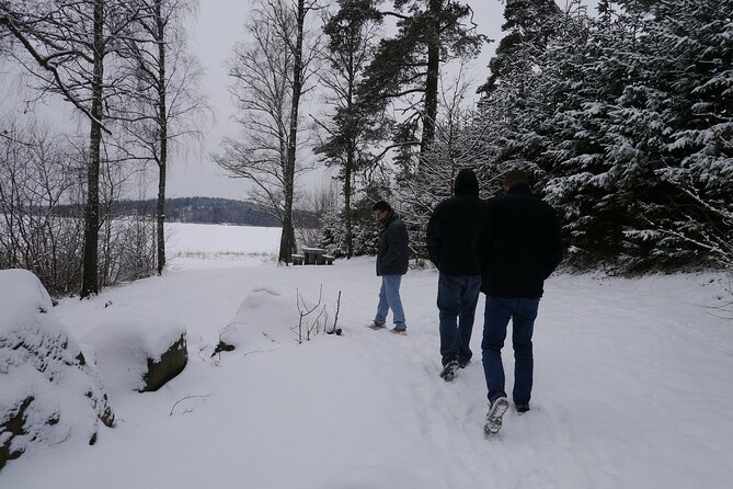 Private Viking tour by a lake + Swedish nature forest walk, 90min - Timing: A 90-Minute Tour With Some Uncertainty