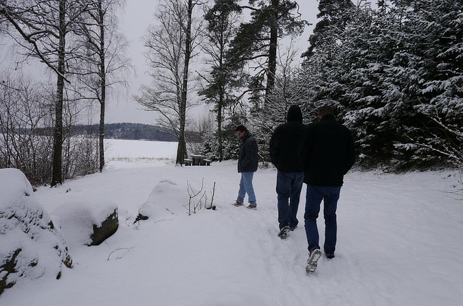 Private Viking tour by a lake + Swedish nature forest walk, 90min - Is $70.78 Per Person Fair?