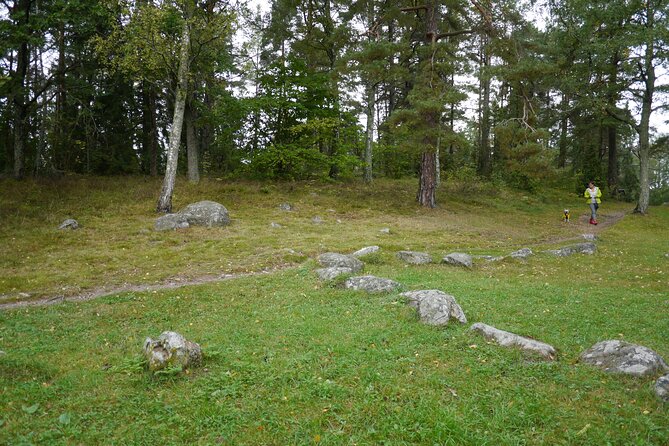 Private Viking tour by a lake + Swedish nature forest walk, 90min - A Short Forest Walk at Lovisedal