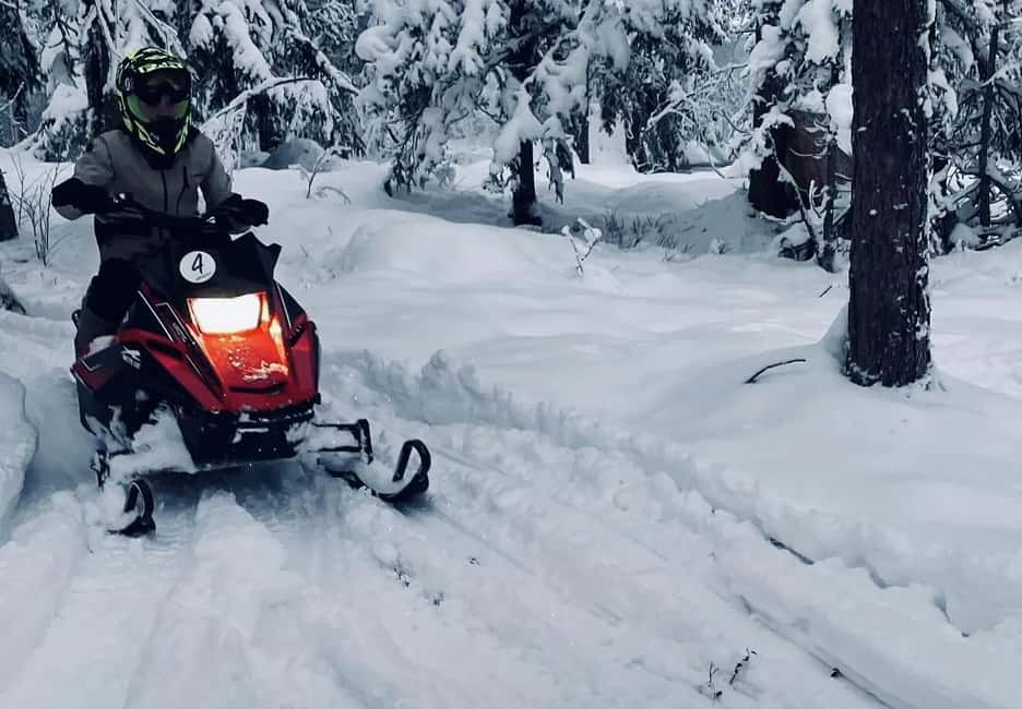 Sälen: Mini Snowmobile Adventure on Private Track - A compact snowmobile ride in Sälen